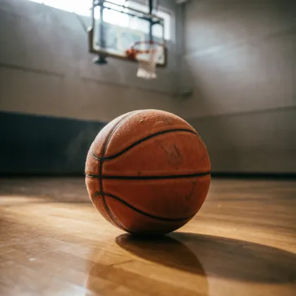 Categoria Indoor de bolas de basquete